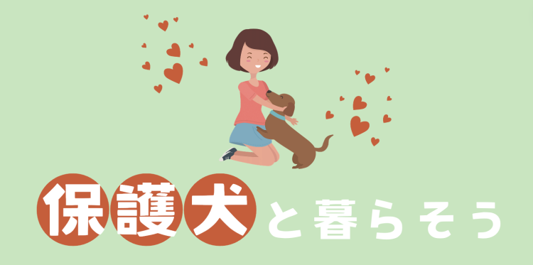 保護犬と暮らそう
